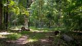 0 Turkey Creek Boat Dock Rd - Photo 24