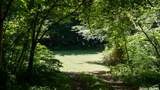 0 Turkey Creek Boat Dock Rd - Photo 26