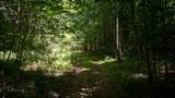 0 Turkey Creek Boat Dock Rd - Photo 33