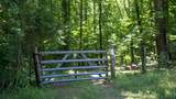 0 Turkey Creek Boat Dock Rd - Photo 36
