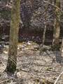 0 Apache Way - Photo 13
