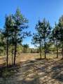 0 Wanut Grove Road - Photo 4