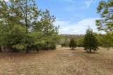 424 Walker Ridge Rd - Photo 50
