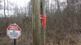 0 Beaver Lane - Photo 2