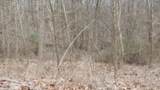 0 Beaver Lane - Photo 16