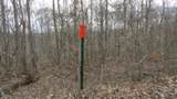 0 Beaver Lane - Photo 3