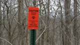 0 Beaver Lane - Photo 4