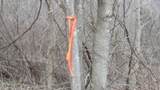 0 Beaver Lane - Photo 32