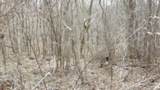 0 Beaver Lane - Photo 6