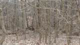 0 Beaver Lane - Photo 7