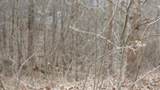 0 Beaver Lane - Photo 8