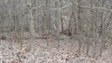 0 Beaver Lane - Photo 9