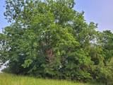 0 Bunkhouse Rd - Photo 11