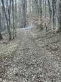 0 Back Bone Rd - Photo 11