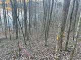 0 Back Bone Rd - Photo 5
