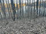 0 Back Bone Rd - Photo 6
