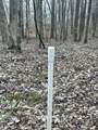 0 Back Bone Rd - Photo 8