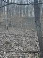 0 Back Bone Rd - Photo 9