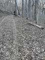 0 Back Bone Rd - Photo 10