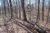 2 Ski View Drive - Photo 10