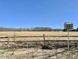 214 Mitchell Ln - Photo 47