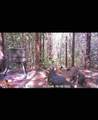4073 Old Hohenwald Rd - Photo 14
