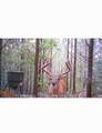 4073 Old Hohenwald Rd - Photo 3