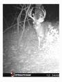 4073 Old Hohenwald Rd - Photo 4