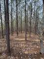 4073 Old Hohenwald Rd - Photo 5