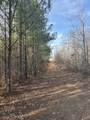 4073 Old Hohenwald Rd - Photo 10
