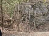 0 Roarks Cove  Rd - Photo 5