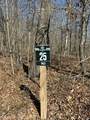 222 Sunset Bluff Way - Photo 2
