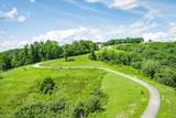0 Bald Eagle Lane - Photo 11
