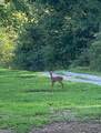 1420 Floyd Rd - Photo 37