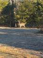 1420 Floyd Rd - Photo 38