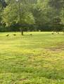1420 Floyd Rd - Photo 40