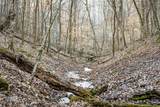 5188 Waddell Hollow Rd - Photo 74