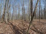 0 Nancy Wynn Rd - Photo 16