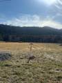 0 Highway 96 East - Photo 7
