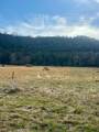 0 Highway 96 East - Photo 9