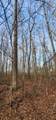 0 Hunziker Rd - Photo 4