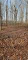 0 Hunziker Rd - Photo 5
