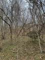 0 Blackberry Ridge Way - Photo 1