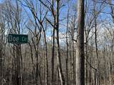 0 Doe Circle - Photo 1