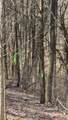 12060 Sparta Pike - Photo 21