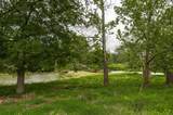0 Homer Worsham Road - Photo 7