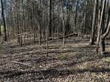 1232 W Point Rd - Photo 16