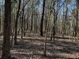 1232 W Point Rd - Photo 17