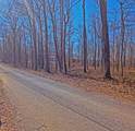 1 Rattlesnake Rd - Photo 15