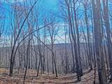 1 Rattlesnake Rd - Photo 16